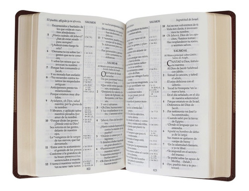 Imagen 5 de 10 de Biblia Rvr1909 (antigua) Letra Grande Imitación Piel Café