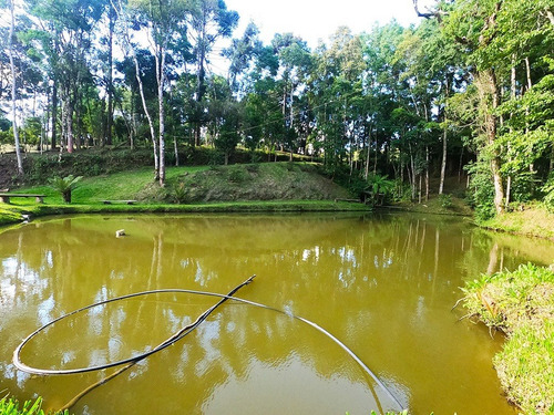 Linda Chácara À Venda No Bairro Miringuava Em São José Dos Pinhais, Com Aproximadamente 20 Mil Metros De Terreno! - Ch00004 - 68976597