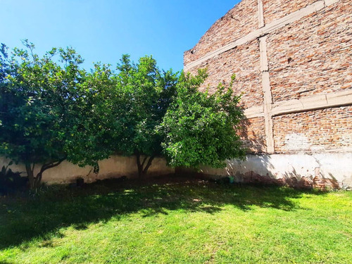 Imagen 13 de 14 de Venta Departamento Tipo Casa 64 M2 3 Amb Patio Terraza Valentin Alsina