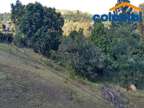 Imagem 9 de 10 de Chácara 5.700,00m2 - Ch00150 - 70776776