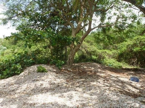Imagen 4 de 13 de Ciudad Balneario Higuerote, Venta Terreno Frente Playa Chocolatico.