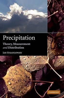 Libro Precipitation : Theory, Measurement And Distributio...
