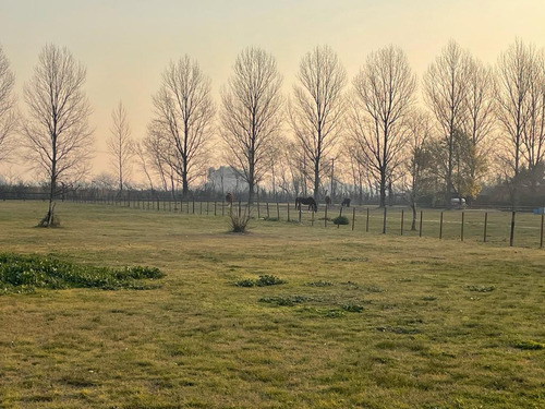 Terreno Lote  En Venta Ubicado En Haras El Malacate, Exaltación De La Cruz, G.b.a. Zona Norte