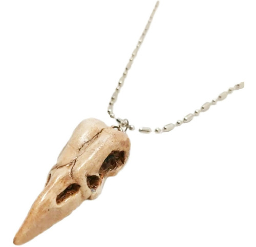 Imagen 1 de 4 de Collar Dije Cráneo Cuervo Calavera Skull Envío Gratis
