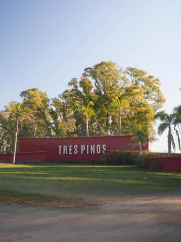 Tres Pinos - Lote 1000mts Barrio Polo - Oportunidad En Pesos
