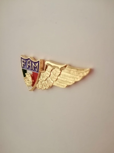Alas D Piloto Aviador Militar (media Ala) Fam En Baño De Oro