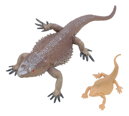Figura De Juguete Con Forma De Ciclo De Vida De Un Lagarto,