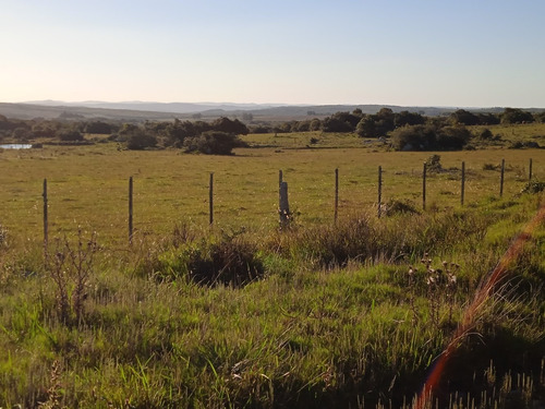 Campo Con Casa A Reparar, Instalaciones