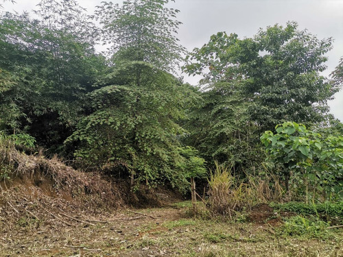 Imagen 8 de 8 de Oportunidad Terreno De 6100 M2 A 5 Minutos De El Carmen