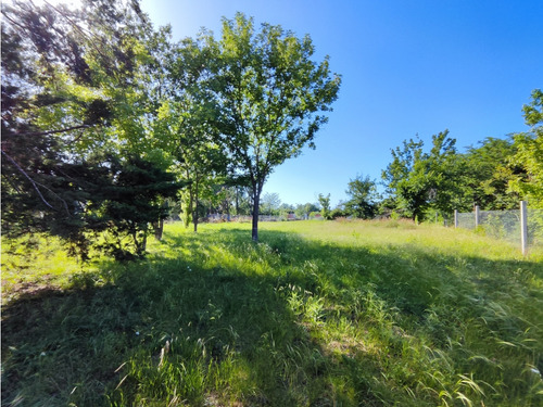 Terreno En Venta Olivera Luján 2914 M2 Lote 12