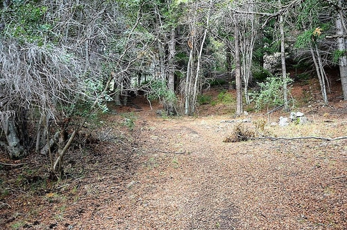 Terreno Fraccion En Venta Ubicado En Villa Lago Mascardi, Bariloche