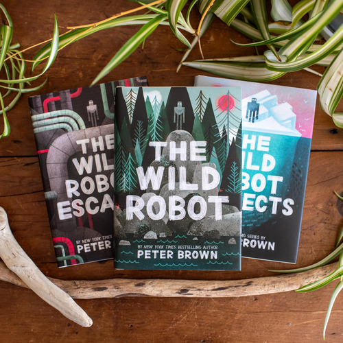 Set En Caja The Wild Robot