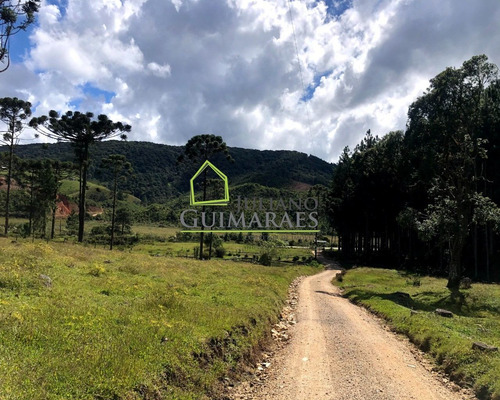 Imagem 18 de 30 de Rancho Queimado Sc - Lindo Terreno Á Venda Com 3 Hectares Em Residencial Fechado - Te00048 - 70795800