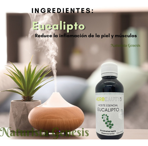 Aceite Esencial Para Aromaterapia Eucalipto 125ml Pack 3