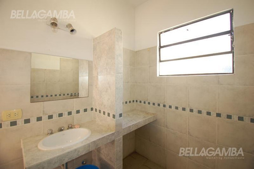 Imagen 19 de 27 de Único Ph Multifamiliar Con Patios Y Terraza, Ideal Para Renta