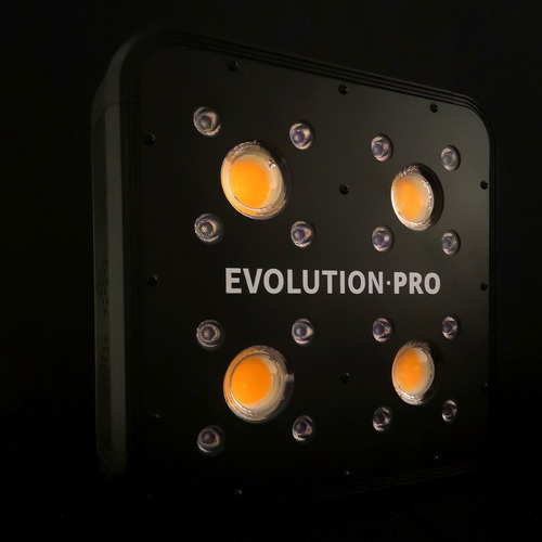 Apollo Evolution Pro 4 150w Delight