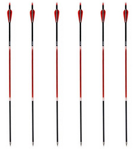 Imagem 2 de 5 de Flechas Carbono Arco E Fecha Até 75 Lbs V Force 30 (6 Pc)