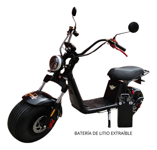 Moto Electrica Sheepbuster-urban 1500w