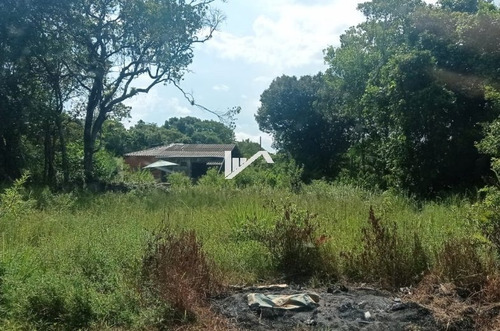 Imagem 5 de 5 de Lotes No Jardim Marambá 2 Em Itanhaém