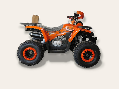 Imagen 5 de 20 de Cuatrimoto Tao Motor Shark 125