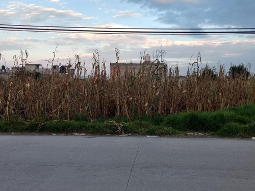 Terreno En Venta, Toluca