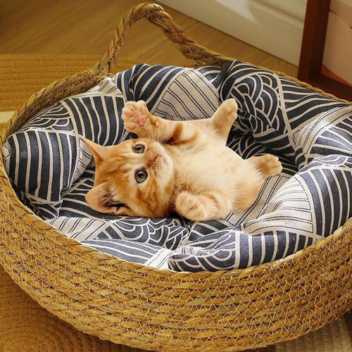 Cat Bed Basket Pet Cat Sleeping Bed Wear Pillow M 38x38x13cm