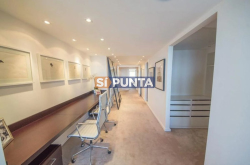 Imagen 14 de 20 de Apartamento En Venta - Brava