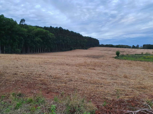 Imagen 6 de 16 de En Venta Parcela De 17 Hectáreas En Miranda