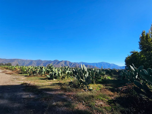 Desde 5000 Mts 2 Con Rol Propio En Isla De Maipo