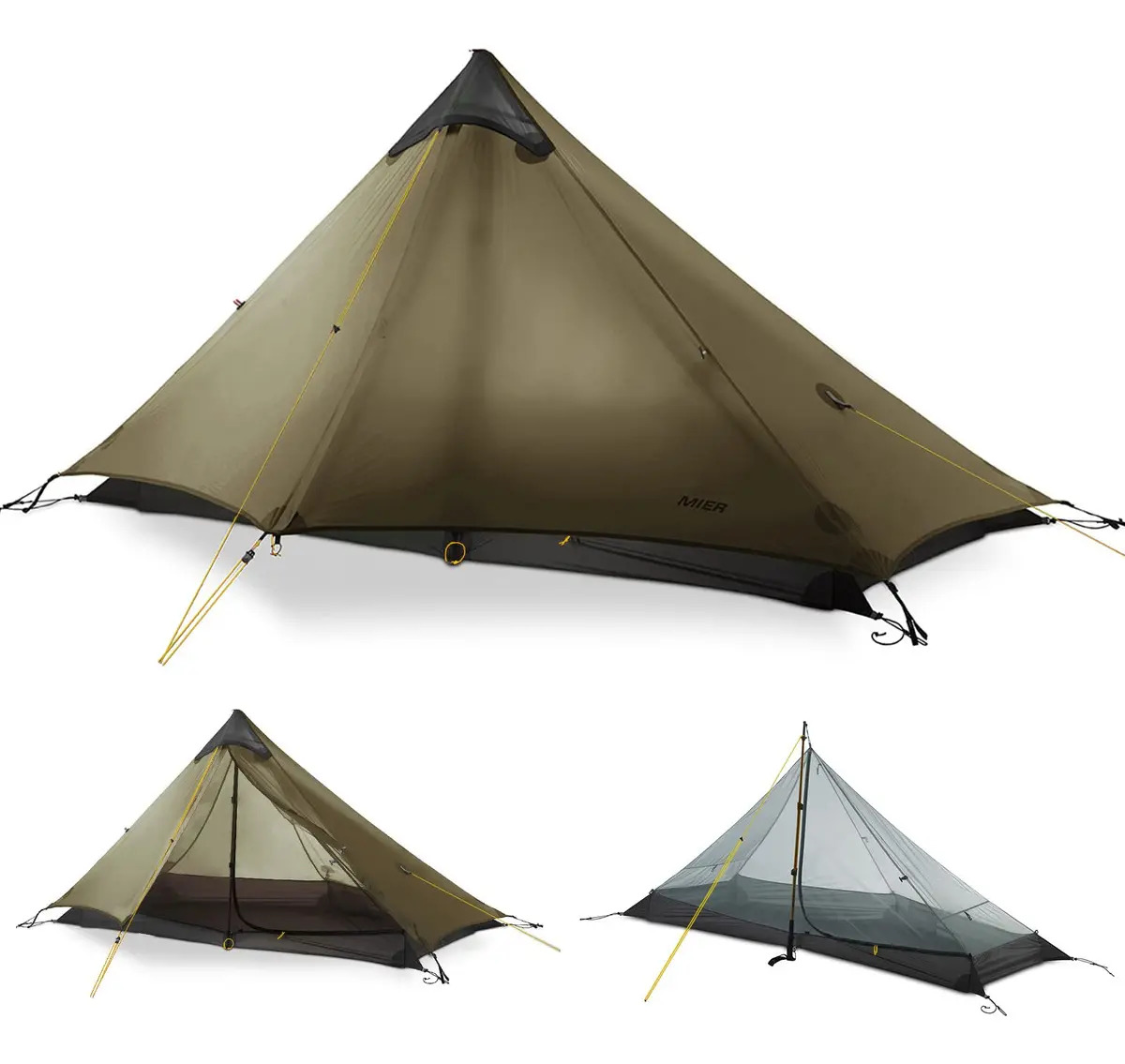 Carpa Mier