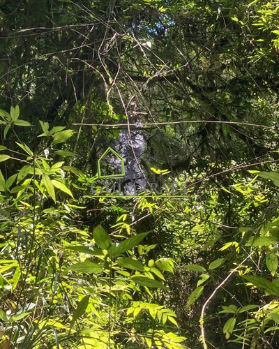 Imagem 15 de 25 de Excelente Terreno Com Cachoeira, Á Venda Em Bom Retiro Sc - Te00033 - 70480671