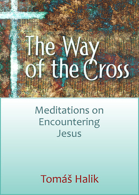 Libro Way Of The Cross: Meditations On Encountering Jesus...
