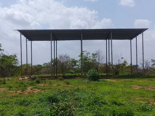 Imagen 17 de 25 de En Venta Finca Matadero De Pollo
