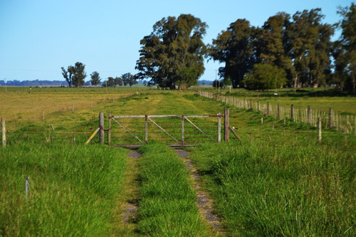 Imagen 1 de 8 de Vendo Campo De 106 Ha En Gral. Alvear
