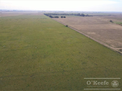 Imagen 5 de 29 de Campo Mixto De 170 Has En San Vicente. Oportunidad!