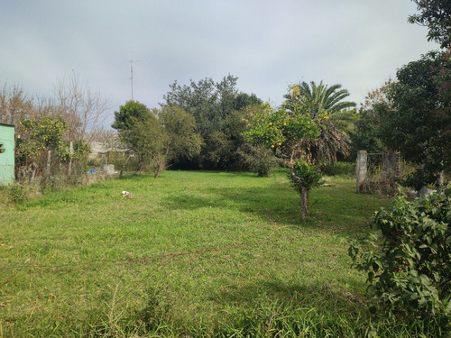 Venta Hermoso Lote 980m2 - San José - E.r.