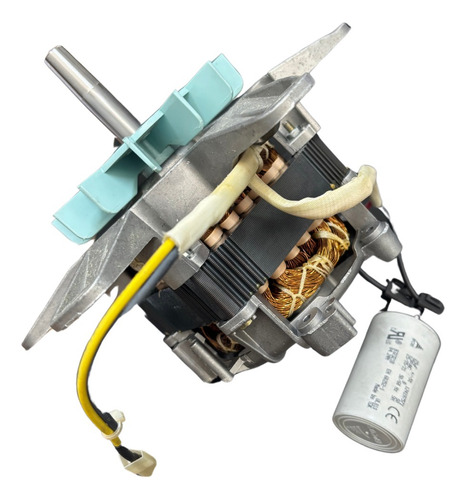 Motor Elétrico Centrífuga Mueller Mega/super 220v