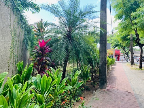 Imagem 25 de 28 de Apartamento - Ap02517 - 70007274