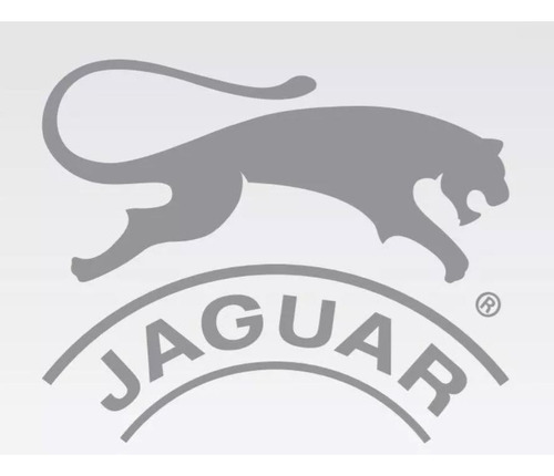 Zapatillas Jaguar Velocity Originales Art. #9359 40 Al 45
