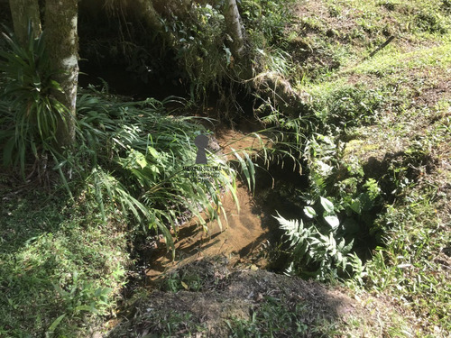 Chácara A Venda No Bairro Centro Em Bocaiúva Do Sul - Pr. - 488-1