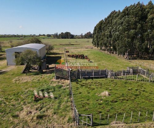 Campo En Venta 18 Has Canelones, Con Todas Las Instalaciones!