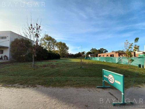 Imagen 3 de 10 de Venta | Excelente Lote Central De 1000 M2 En Campo Grande | Bayugar Negocios Inmobiliarios