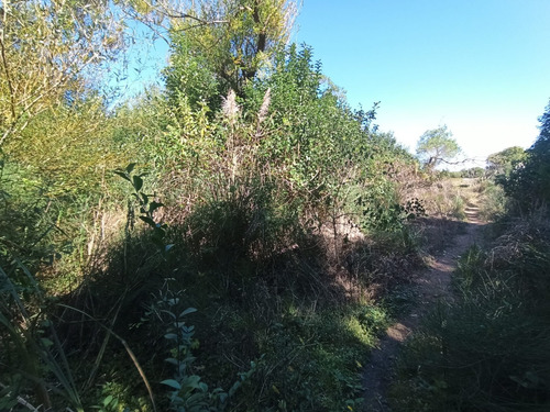 Terreno A La Venta En San Luis Sur A Metros De La Playa || Cañada