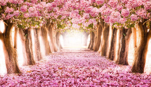 Cerejeira Japonesa Jardim Rosa Painel 2,80x1,70m Lona Festa Cor Colorido