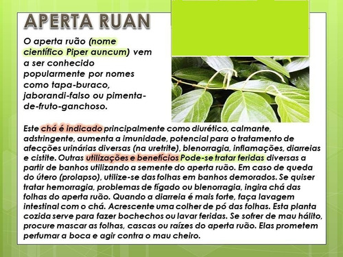 Aperta Ruão - Folha Para Chá - 100gr