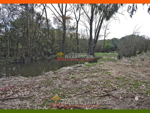Imagen 16 de 22 de Chacra En Venta 3 Has Con Casa En El Colorado