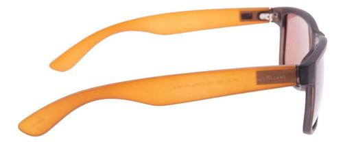 Óculos De Sol Masculino Chilli Beans Bossa Nova 2 Em 1 Marro