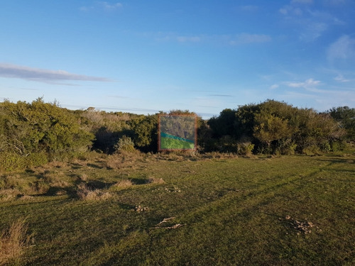 Imagen 9 de 14 de Campo 31 Hás Garzón Bajo