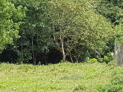 Imagem 3 de 14 de Chácara Em Claraval - Mg - Ch0013_rncr