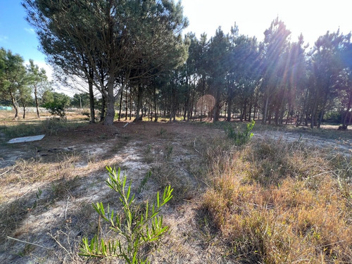 Imagen 10 de 15 de Venta Terreno Financiable Lomas De Solymar Canelones
